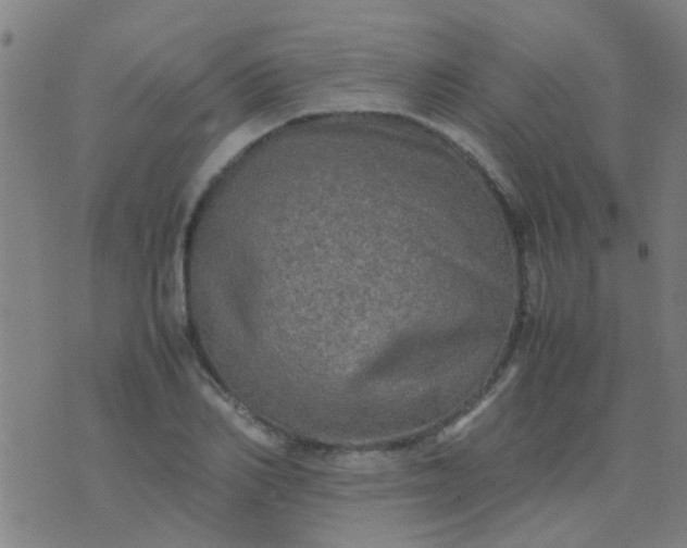 X0000074290982200609081847