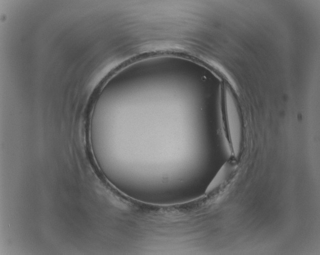 X0000074290983200609081847