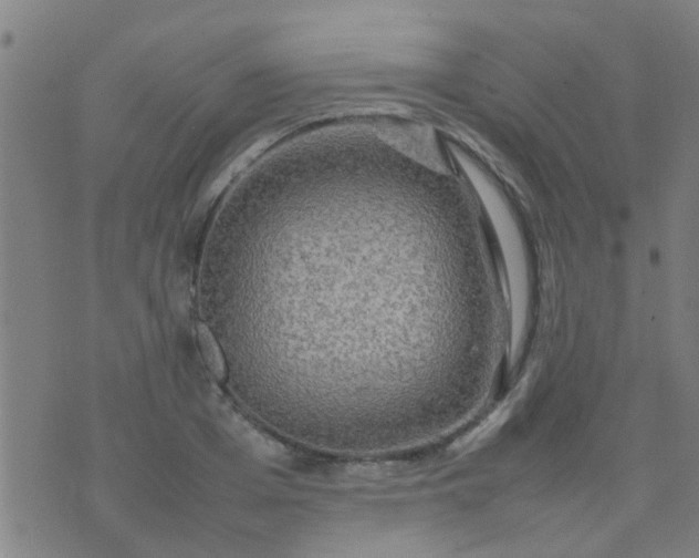 X0000074290985200609081847