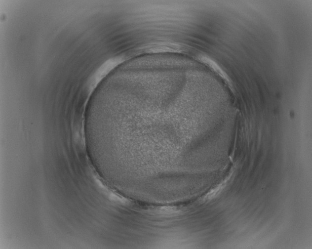 X0000074290986200609081847