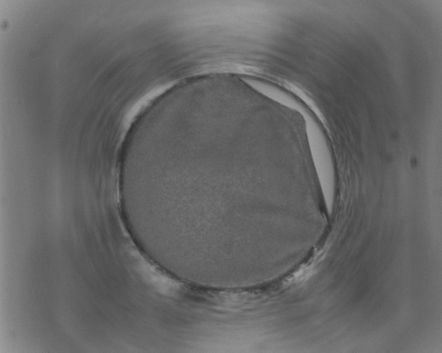 X0000074290987200609081847