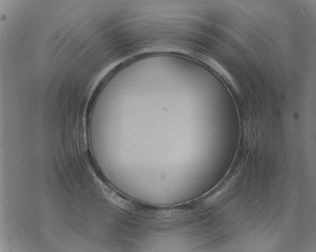 X0000074290988200609081847