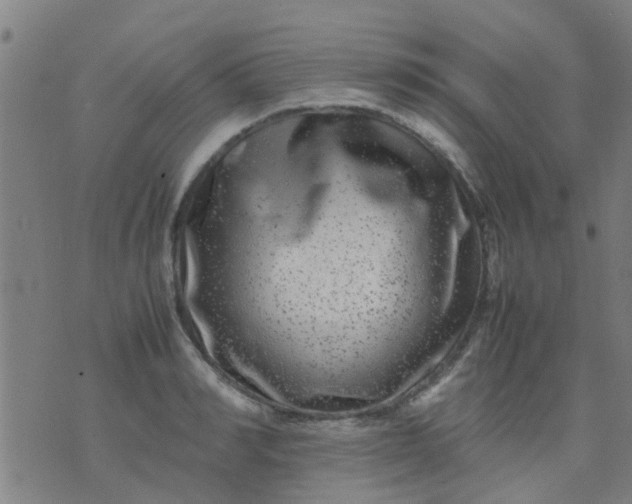 X0000074290990200609081847