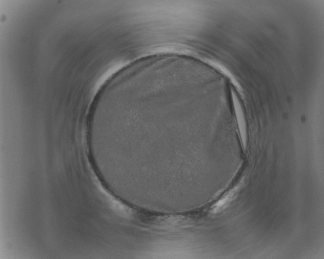 X0000074290991200609081847