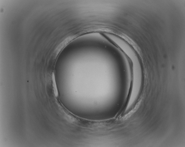 X0000074290993200609081847