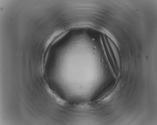 X0000074290994200609081847