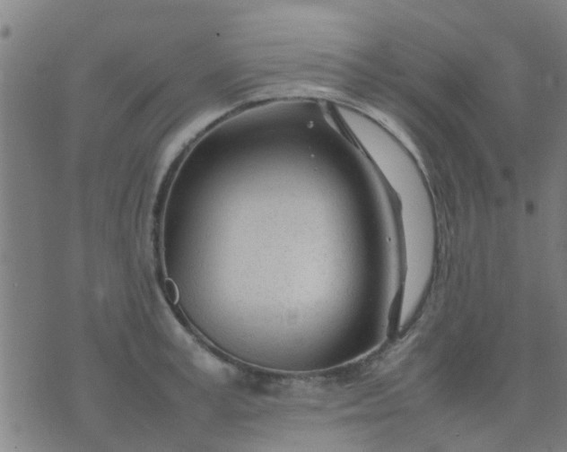 X0000074290995200609081847