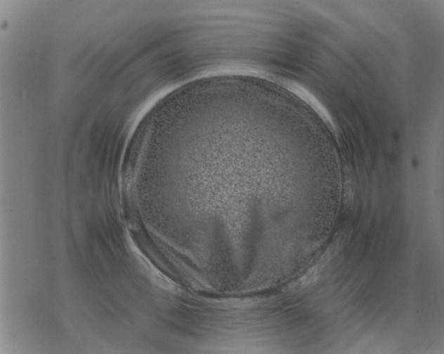 X0000074290996200609081847