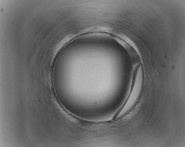 X0000074290997200609081847