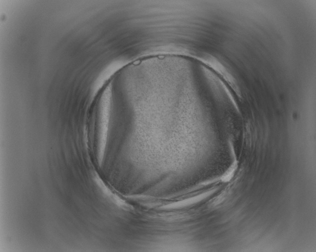 X0000074290998200609081847