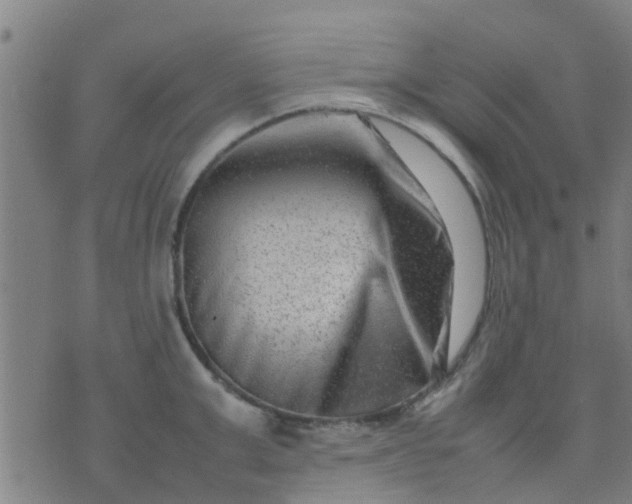 X0000074290999200609081847