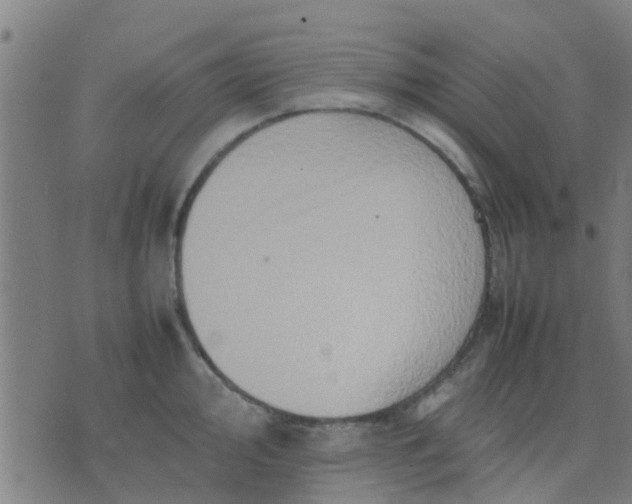 X0000074291000200609081847