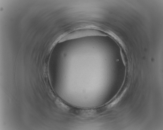 X0000074291001200609081847