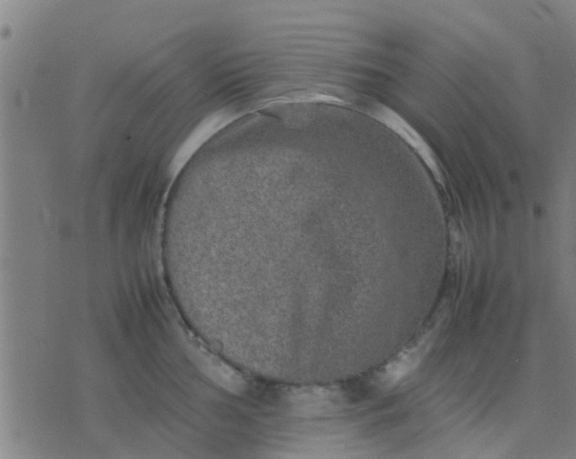 X0000074291002200609081847