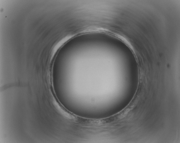 X0000074291003200609081847