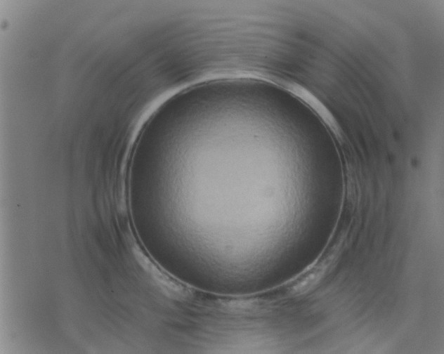 X0000074291004200609081847