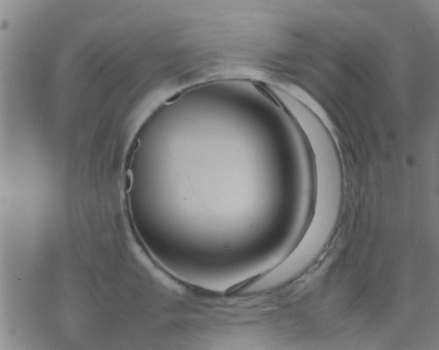 X0000074291005200609081847