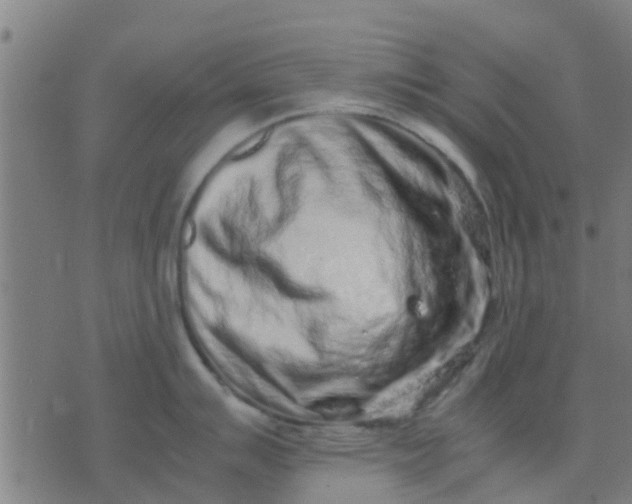 X0000074291007200609081847