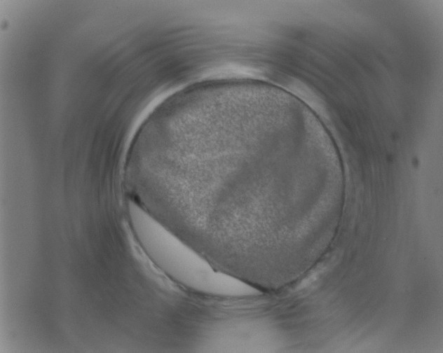 X0000074291008200609081847