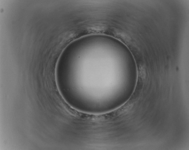 X0000074291009200609081846