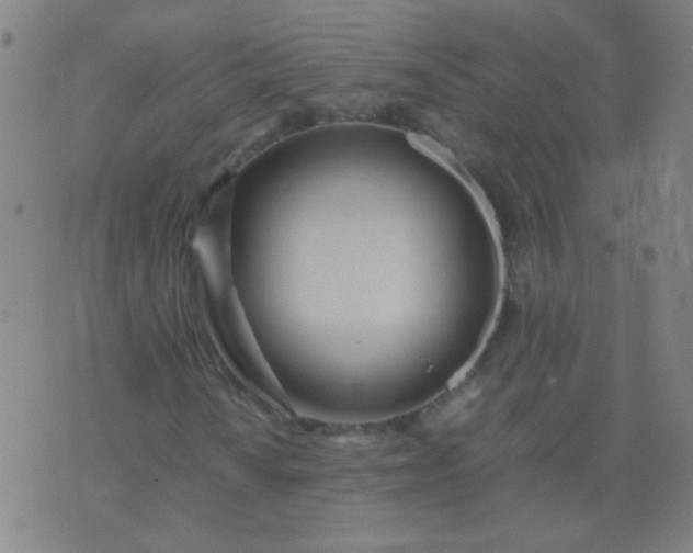 X0000074291010200609081846