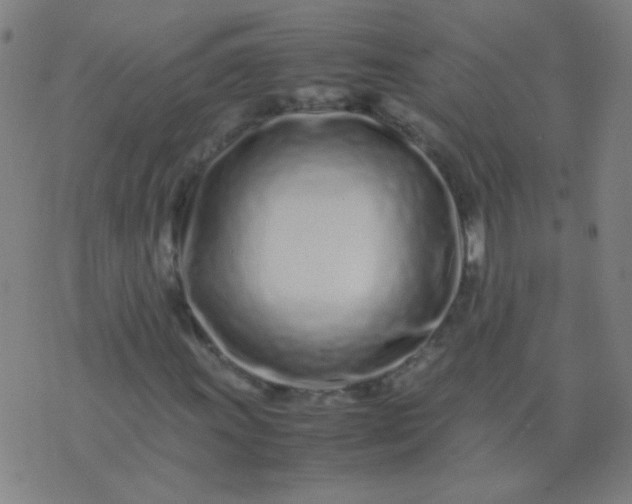 X0000074291011200609081846