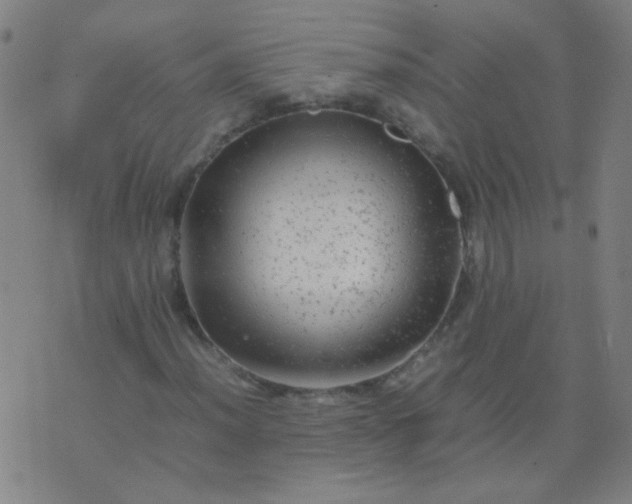 X0000074291012200609081846