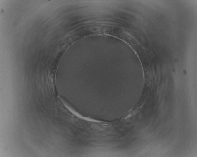 X0000074291013200609081846