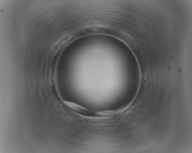 X0000074291014200609081846