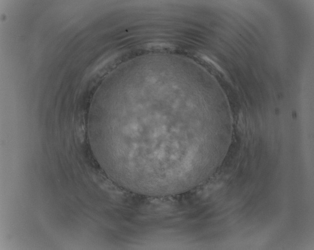 X0000074291015200609081846