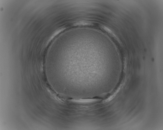 X0000074291017200609081846