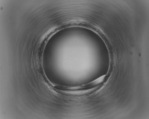 X0000074291018200609081846