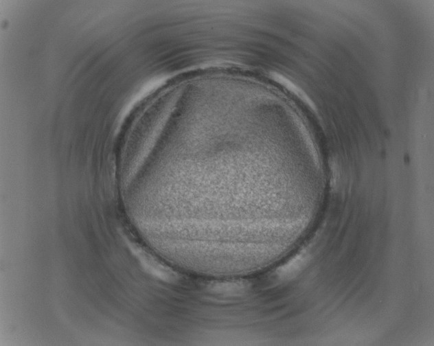 X0000074291021200609081846