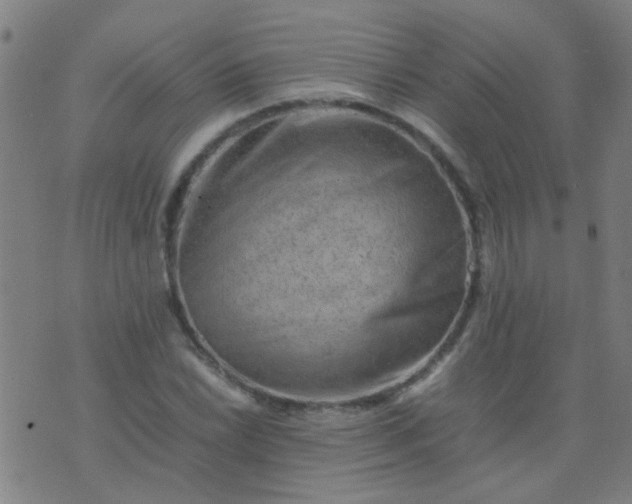 X0000074291022200609081846