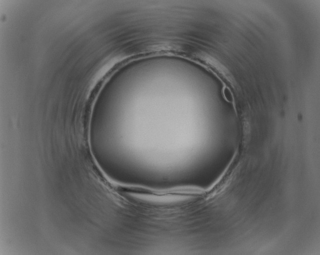 X0000074291023200609081846