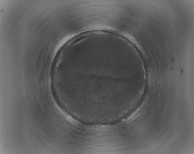 X0000074291024200609081846