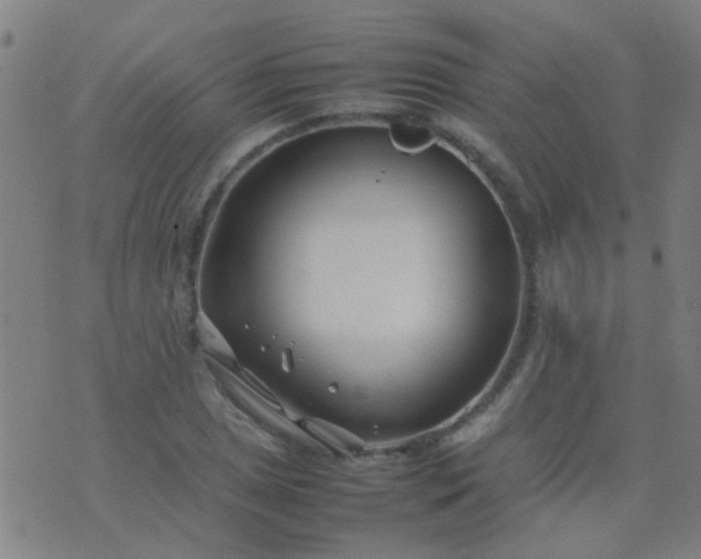 X0000074291025200609081846