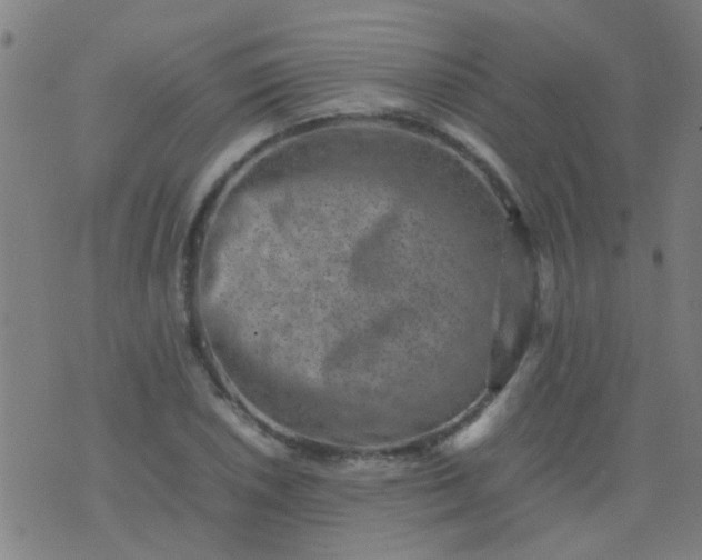 X0000074291026200609081847