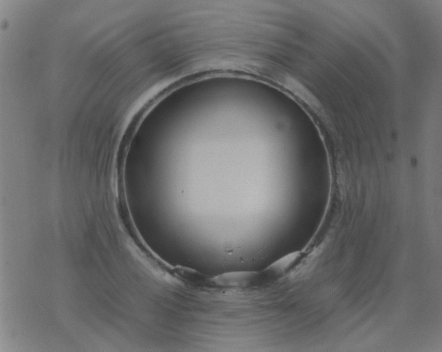 X0000074291028200609081847