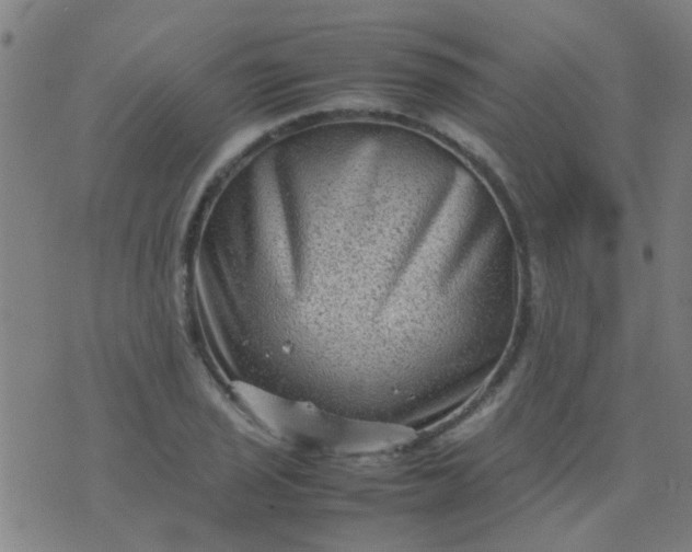 X0000074291029200609081847