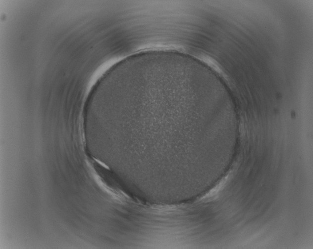 X0000074291030200609081847