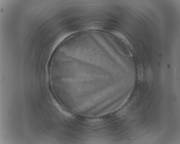 X0000074291031200609081847