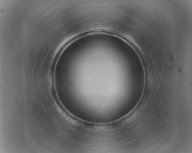 X0000074291032200609081847