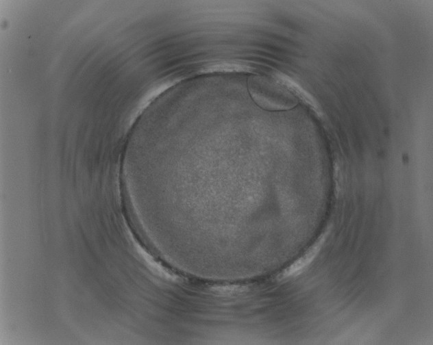 X0000074291033200609081847