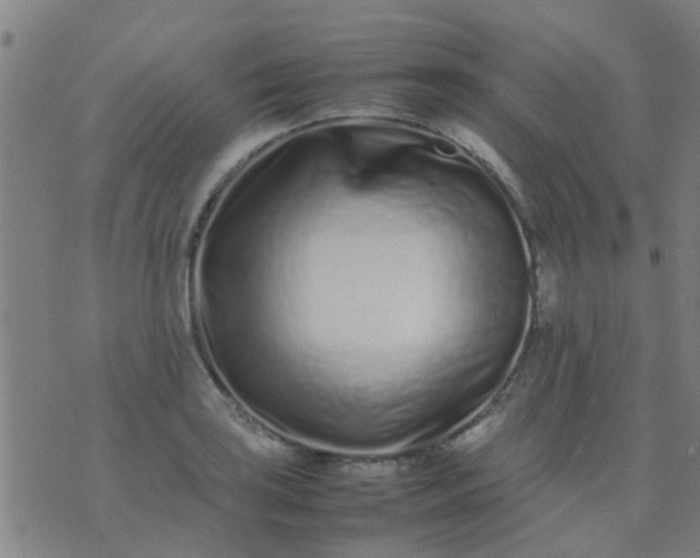 X0000074291035200609081847