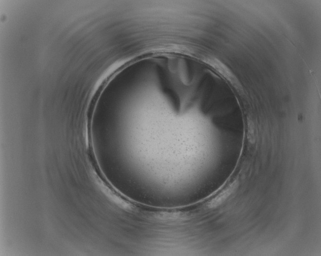 X0000074291036200609081847