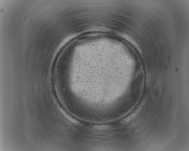 X0000074291037200609081847