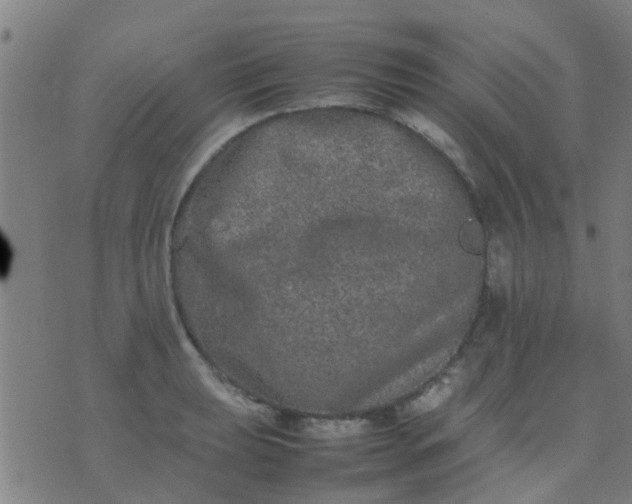 X0000074291039200609081847