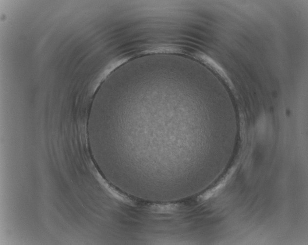 X0000074291041200609081847