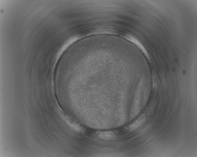 X0000074291043200609081847